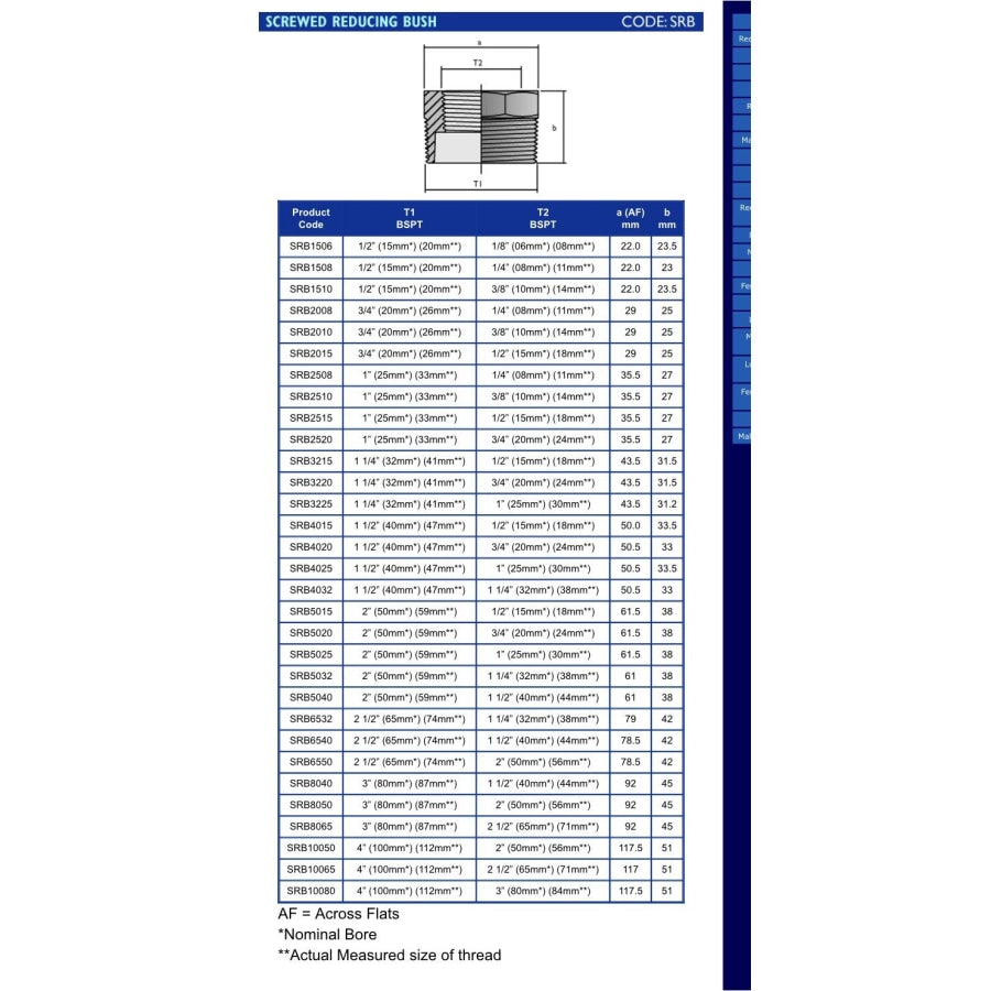 Hansen Reducing Nylon Bush Fitting Bsp Thread Poly Fittings